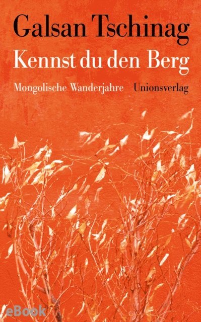 Galsan Tschinag - Kennst du den Berg, E-bok
