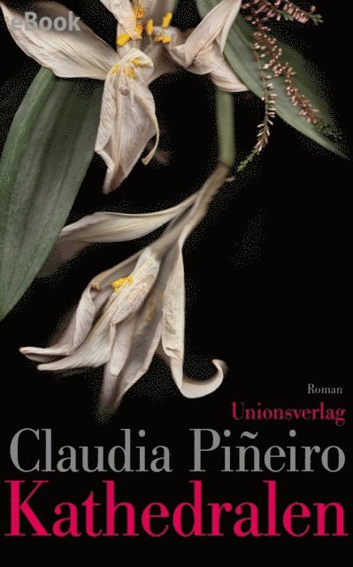 Claudia Pineiro - Kathedralen, E-bok