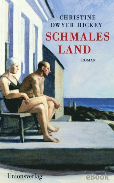 Christine Dwyer Hickey - Schmales Land, E-bok