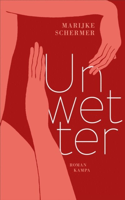 Marijke Schermer - Unwetter, E-bok