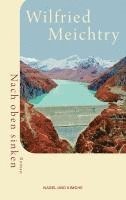 Wilfried Meichtry - Nach oben sinken, Häftad
