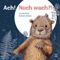 Lorenz Pauli - Ach! Noch wach?!, Inbunden
