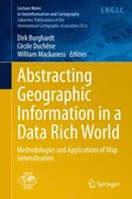 Abstracting Geographic Information in a Data Rich World