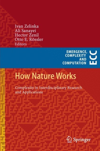 Otto E. Rossler, Hector Zenil, Ali Sanayei, Ivan Zelinka - How Nature Works, E-bok