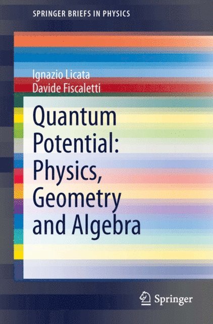Davide Fiscaletti, Ignazio Licata - Quantum Potential: Physics, Geometry and Algebra, E-bok