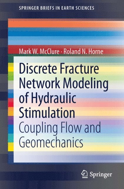 Roland N. Horne, Mark W. McClure - Discrete Fracture Network Modeling of Hydraulic Stimulation, E-bok