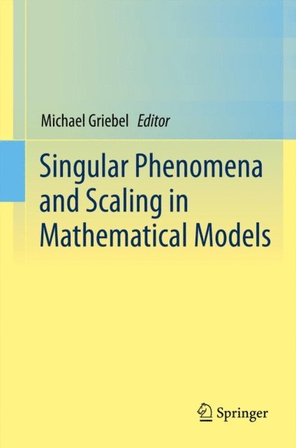 Michael Griebel - Singular Phenomena and Scaling in Mathematical Models, E-bok