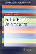 Protein Folding