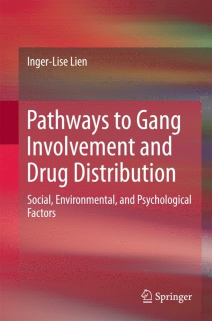 Inger-Lise Lien - Pathways to Gang Involvement and Drug Distribution, E-bok