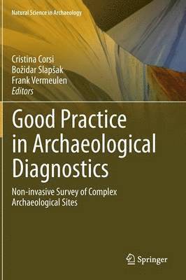 Good Practice in Archaeological Diagnostics av Cristina Corsi, Bo?idar Slap?ak, Frank Vermeulen, Bozidar Slapsak, Bo Idar Slap Ak