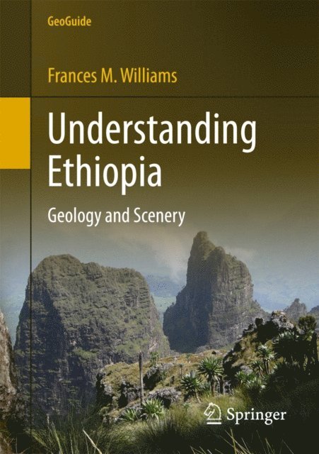 Frances M. Williams - Understanding Ethiopia, E-bok