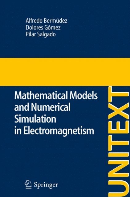 Pilar Salgado, Dolores Gomez, Alfredo Bermudez de Castro - Mathematical Models and Numerical Simulation in Electromagnetism, E-bok