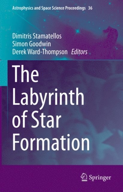 Derek Ward-Thompson, Simon Goodwin, Dimitris Stamatellos - Labyrinth of Star Formation, E-bok