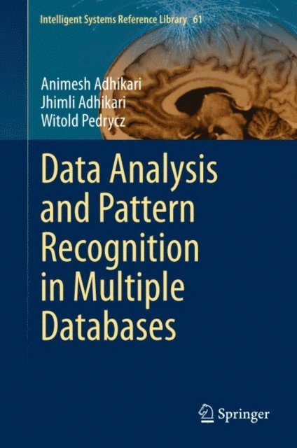 Witold Pedrycz, Jhimli Adhikari, Animesh Adhikari - Data Analysis and Pattern Recognition in Multiple Databases, E-bok
