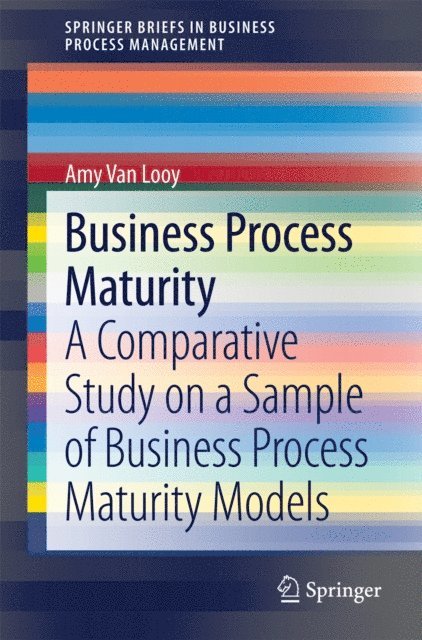 Amy Van Looy - Business Process Maturity, E-bok