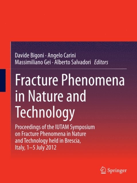 Alberto Salvadori, Massimiliano Gei, Angelo Carini, Davide Bigoni - Fracture Phenomena in Nature and Technology, E-bok