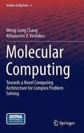 Molecular Computing