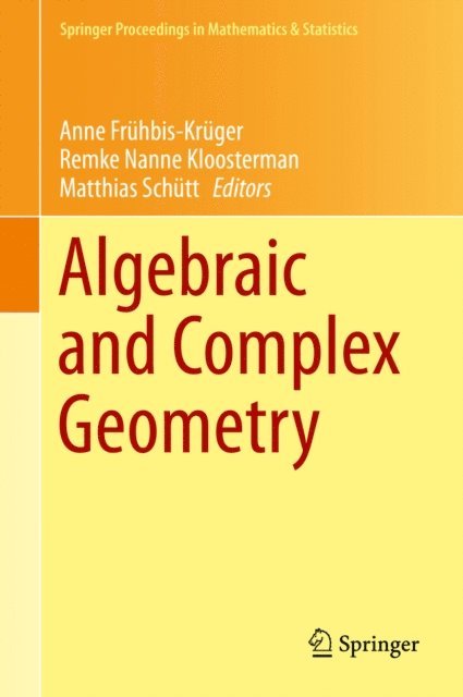 Matthias Schutt, Remke Nanne Kloosterman, Anne Fruhbis-Kruger - Algebraic and Complex Geometry, E-bok