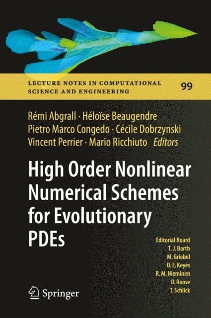 Mario Ricchiuto, Vincent Perrier, Cecile Dobrzynski, Pietro Marco Congedo, Heloise Beaugendre, Remi Abgrall - High Order Nonlinear Numerical Schemes for Evolutionary PDEs, E-bok