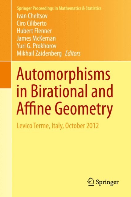 Mikhail Zaidenberg, Yuri G. Prokhorov, James McKernan, Hubert Flenner, Ciro Ciliberto, Ivan Cheltsov - Automorphisms in Birational and Affine Geometry, E-bok
