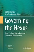 Governing the Nexus