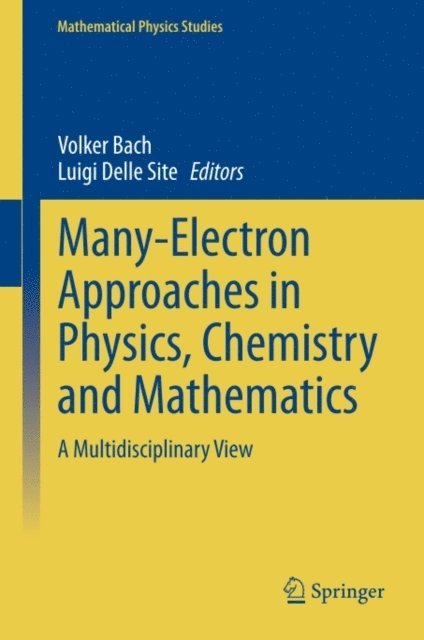 Luigi Delle Site, Volker Bach - Many-Electron Approaches in Physics, Chemistry and Mathematics, E-bok