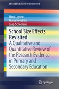 School Size Effects Revisited