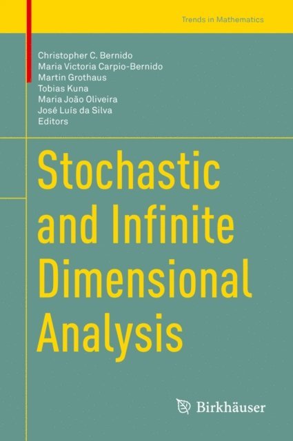 Jose Luis da Silva, Maria Joao Oliveira, Tobias Kuna, Martin Grothaus, Maria Victoria Carpio-Bernido, Christopher C. Bernido - Stochastic and Infinite Dimensional Analysis, E-bok