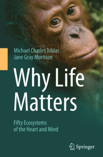 Jane Gray Morrison, Michael Charles Tobias - Why Life Matters, E-bok