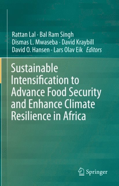 Lars Olav Eik, David O. Hansen, David Kraybill, Dismas L. Mwaseba, Bal Ram Singh, Rattan Lal - Sustainable Intensification to Advance Food Security and Enhance Climate Resilience in Africa, E-bok