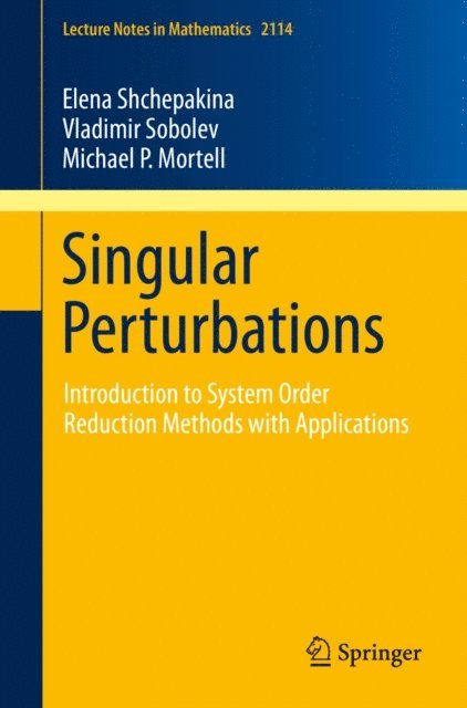 Michael P. Mortell, Vladimir Sobolev, Elena Shchepakina - Singular Perturbations, E-bok