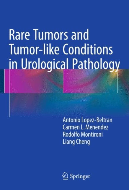 Liang Cheng, Rodolfo Montironi, Carmen L. Menendez, Antonio Lopez-Beltran - Rare Tumors and Tumor-like Conditions in Urological Pathology, E-bok