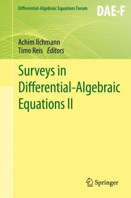 Timo Reis, Achim Ilchmann - Surveys in Differential-Algebraic Equations II, E-bok