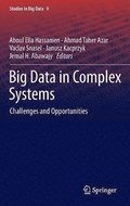 Big Data in Complex Systems