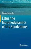 Estuarine Morphodynamics of the Sunderbans