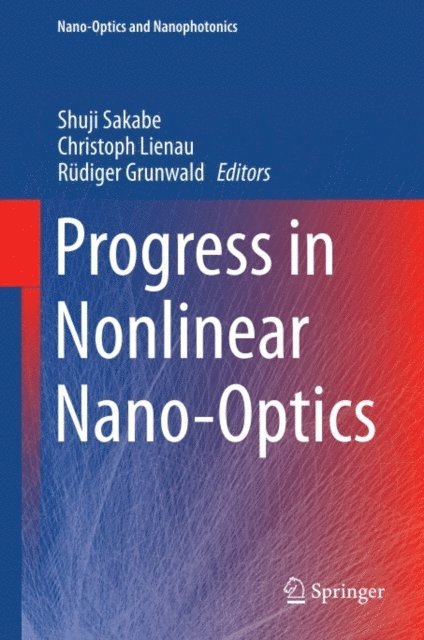 Rudiger Grunwald, Christoph Lienau, Shuji Sakabe - Progress in Nonlinear Nano-Optics, E-bok