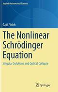 The Nonlinear Schrdinger Equation