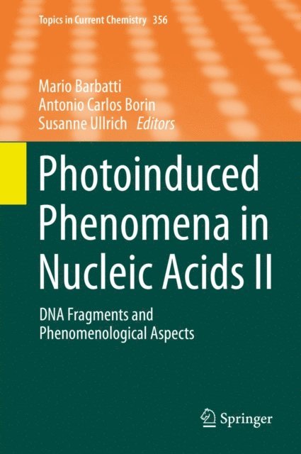 Susanne Ullrich, Antonio Carlos Borin, Mario Barbatti - Photoinduced Phenomena in Nucleic Acids II, E-bok