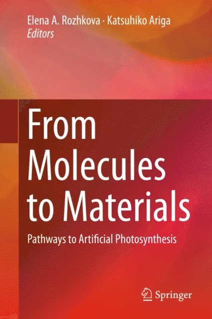 Katsuhiko Ariga, Elena A. Rozhkova - From Molecules to Materials, E-bok