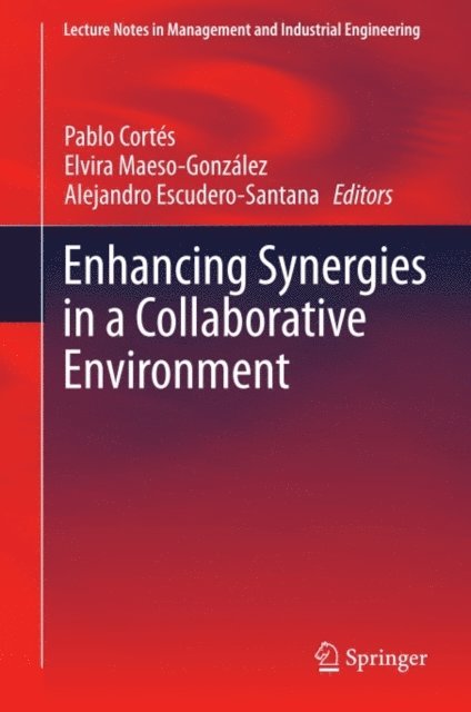 Alejandro Escudero-Santana, Elvira Maeso-Gonzalez, Pablo Cortes - Enhancing Synergies in a Collaborative Environment, E-bok