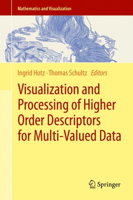 Thomas Schultz, Ingrid Hotz - Visualization and Processing of Higher Order Descriptors for Multi-Valued Data, E-bok