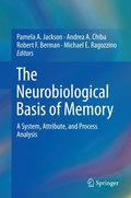 Neurobiological Basis of Memory