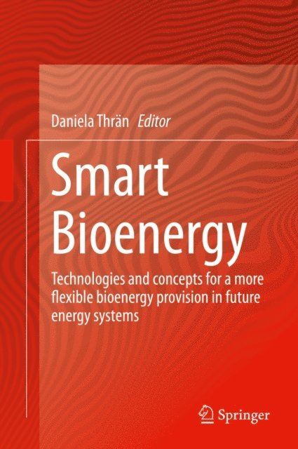 Daniela Thran - Smart Bioenergy, E-bok