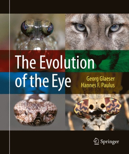 Hannes F. Paulus, Georg Glaeser - Evolution of the Eye, E-bok