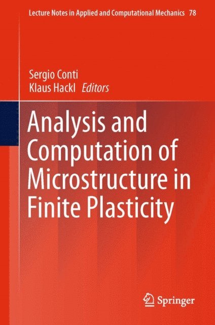 Klaus Hackl, Sergio Conti - Analysis and Computation of Microstructure in Finite Plasticity, E-bok