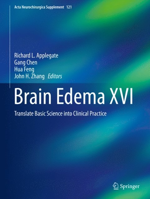 John H. Zhang, Hua Feng, Gang Chen, Richard L. Applegate - Brain Edema XVI, E-bok