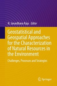 Geostatistical and Geospatial Approaches for the Characterization of Natural Resources in the Environment