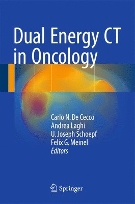 Dual Energy CT in Oncology av Carlo N De Cecco, Andrea Laghi, U Joseph Schoepf, Felix G Meinel