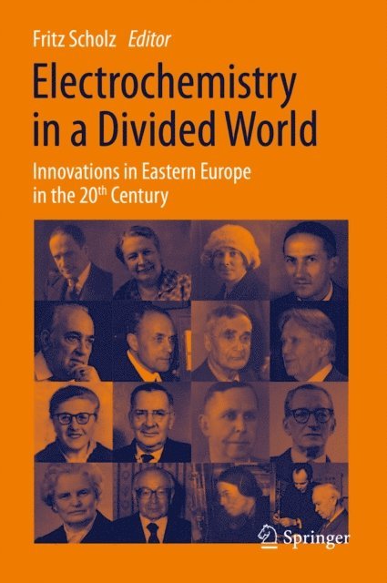 Fritz Scholz - Electrochemistry in a Divided World, E-bok