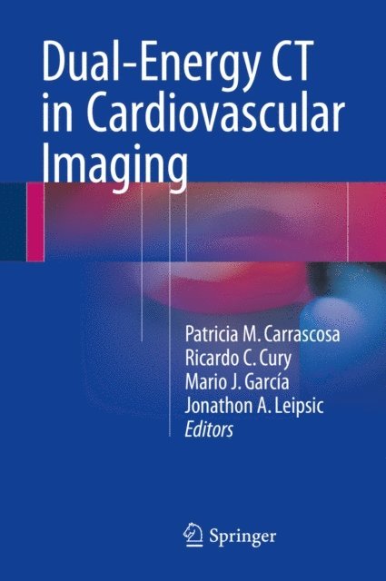 Jonathon A. Leipsic, Mario J. Garcia, Ricardo C. Cury, Patricia M. Carrascosa - Dual-Energy CT in Cardiovascular Imaging, E-bok
